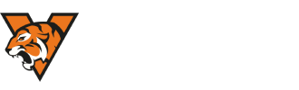 Logo da VIRTUSBET
